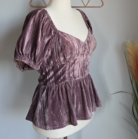 Anthropologie, New, Porridge Purple Velvet Lace-up Peplum Shirt, Size Large - Picture 8 of 16